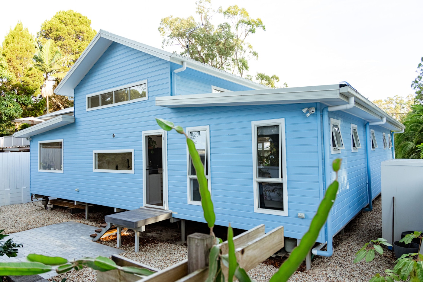 Coochie Elevation 18