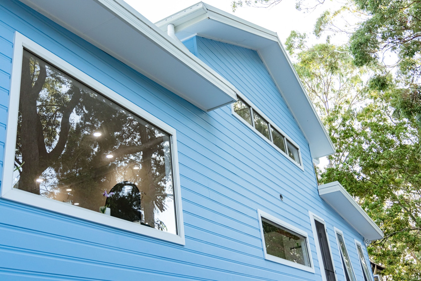 Coochie Elevation 19