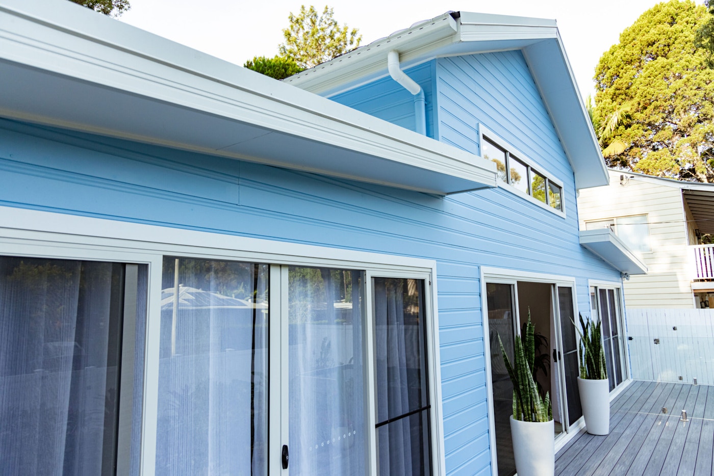 Coochie Elevation 20