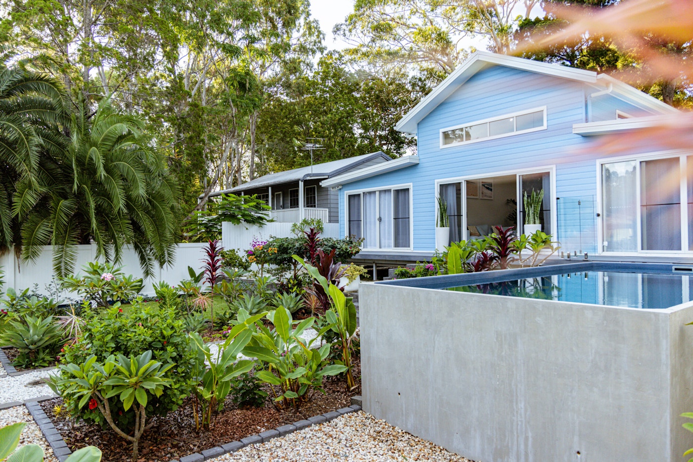 Coochie Elevation 21