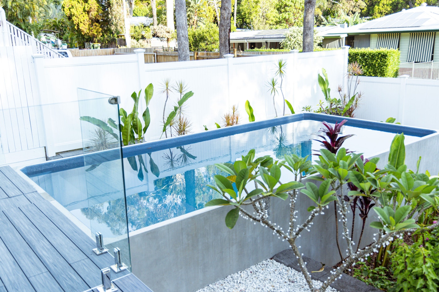 Coochie Elevation 23