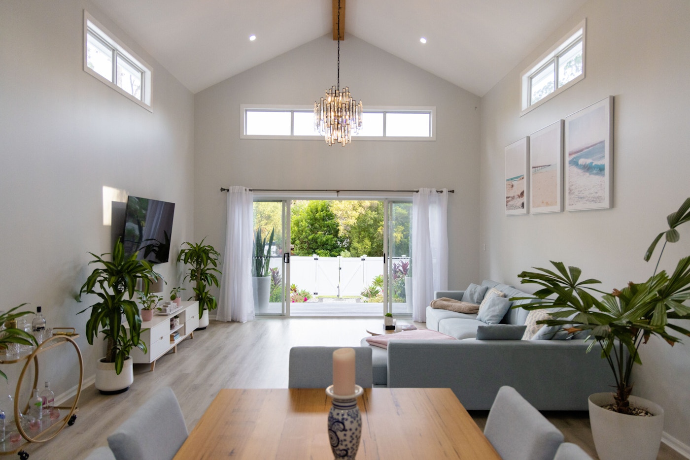 Coochie Elevation 24