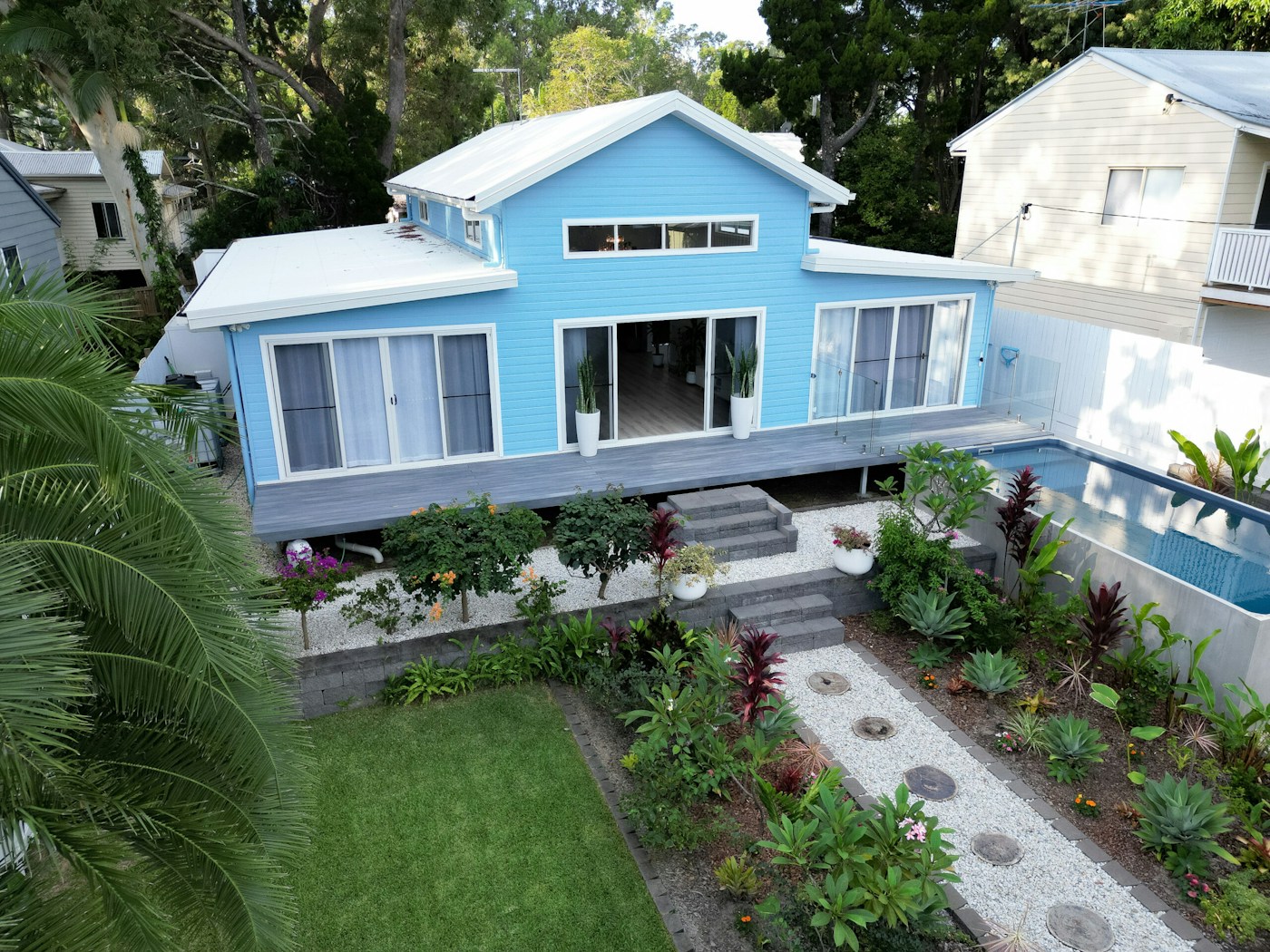 Coochie Elevation 25