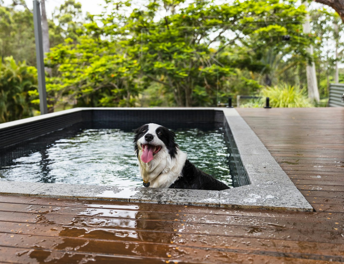 Fernando Elevation 6